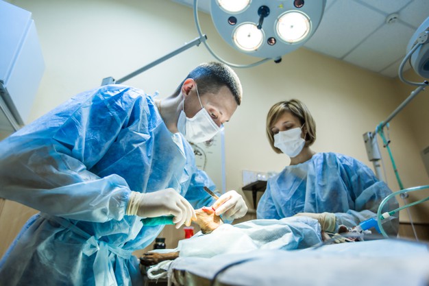 service-img4 Cancer Surgeon